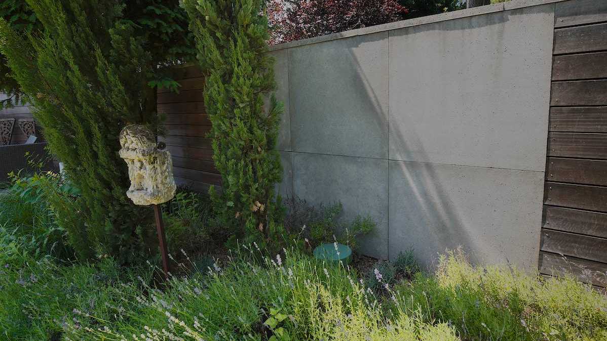 Senkrechtstarter –